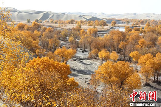 点图查看下一页