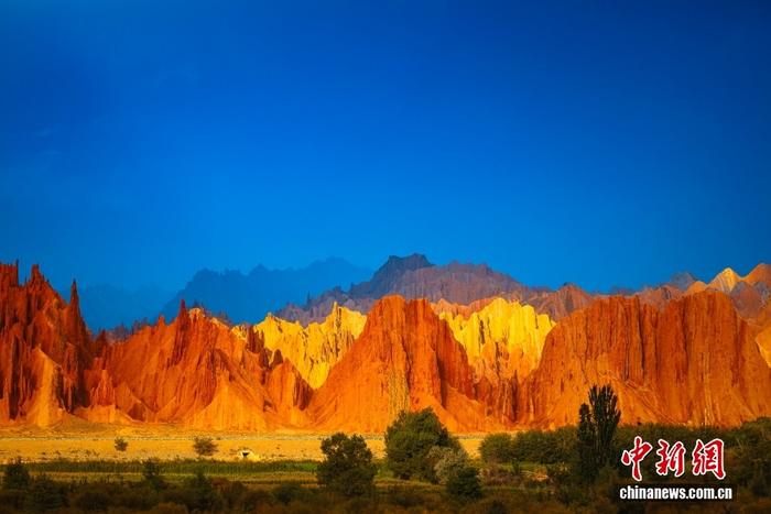 【砥砺奋进七十载天山南北谱华章】阿克苏：新疆“甜心”红到满屏热烈