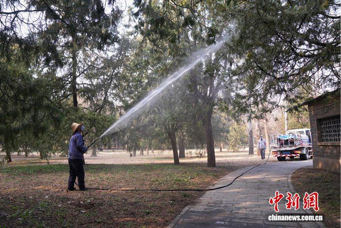 北京天坛公园对春季花粉实施综合治理