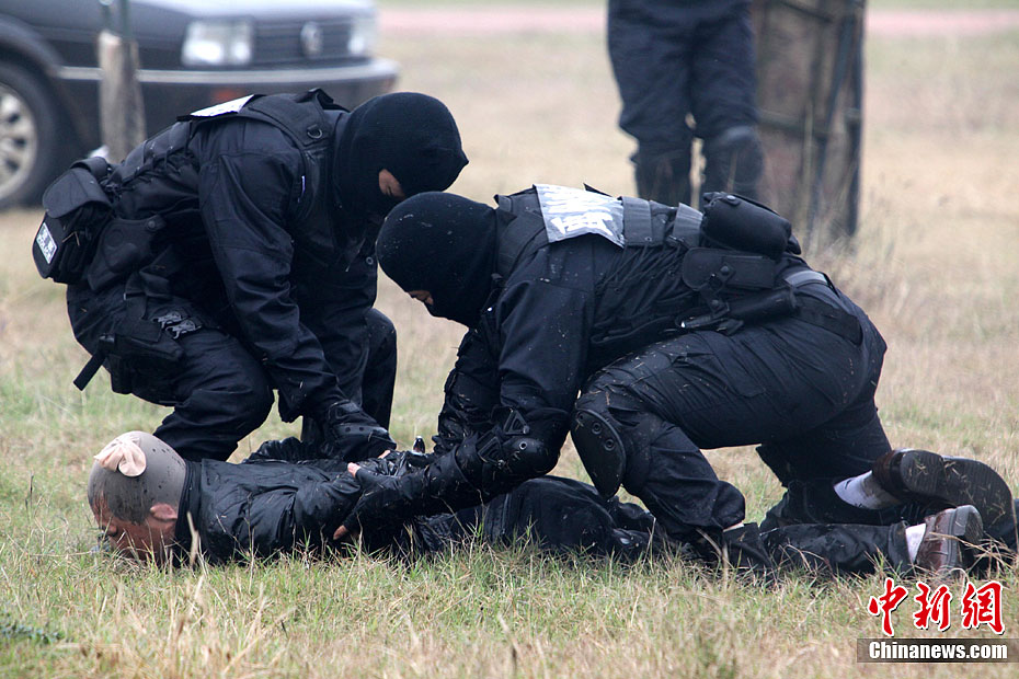 �������������־��С����ٳ֡�����