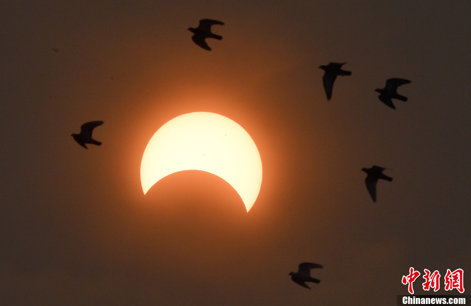 ��������Ⱥ������ƫʳ