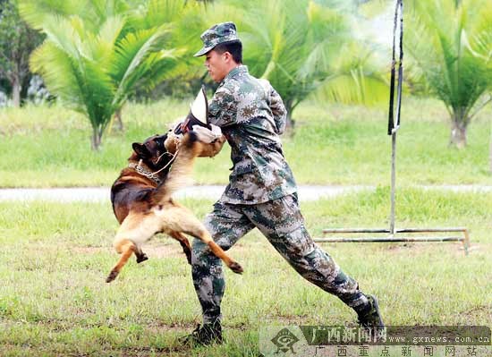 组图:探访军犬训练基地(2)