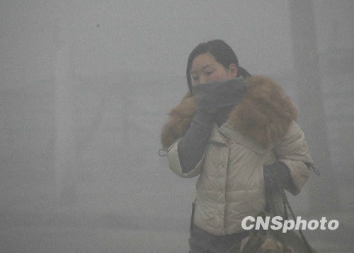 河南淮阳出现大雾天气[图]-能见度 最大 大雾天