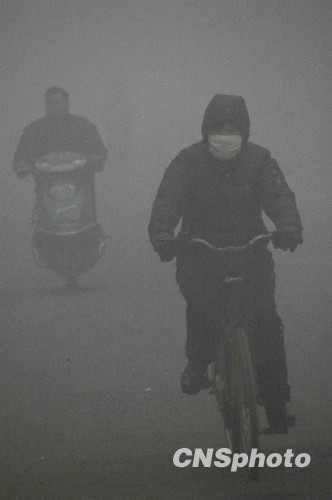 河南淮阳出现大雾天气[图]-能见度 最大 大雾天