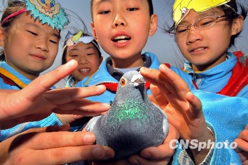 点图查看下一页