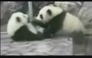 点击图片可在新窗口打开
