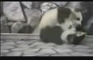 点击图片可在新窗口打开