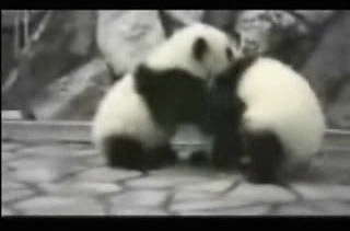 点击图片可在新窗口打开