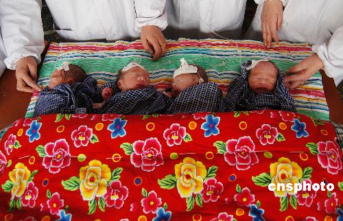 图:河南淮阳一农妇产下龙凤四胞胎
