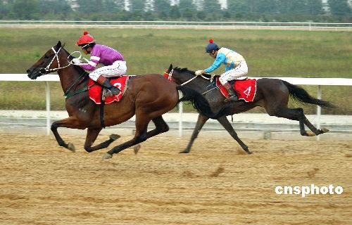 际赛马节圆满收鞭