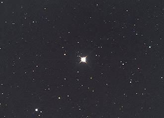 夜空新增一颗星星 海豚座新星几乎整晚可见(图)