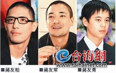 悬崖边的贵族:蒋家第四代从蒋友柏到蒋友青