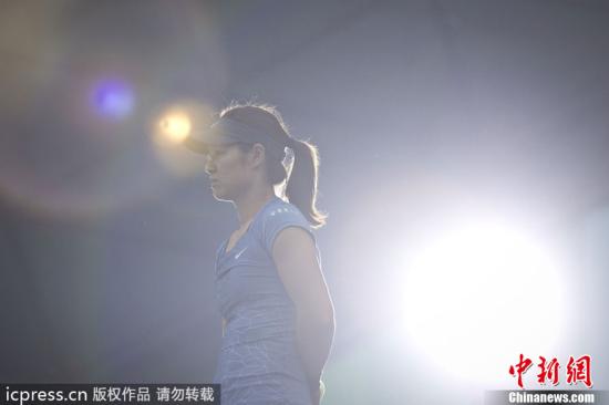 歌手李娜_李娜广告收入(2)