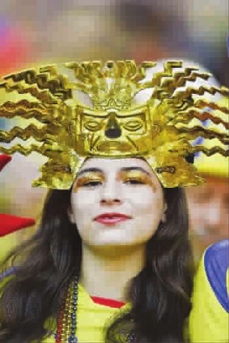 巴西世界杯球迷众生相:美女养眼野兽可爱(图)(5)