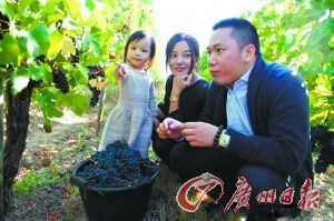 点图查看下一页