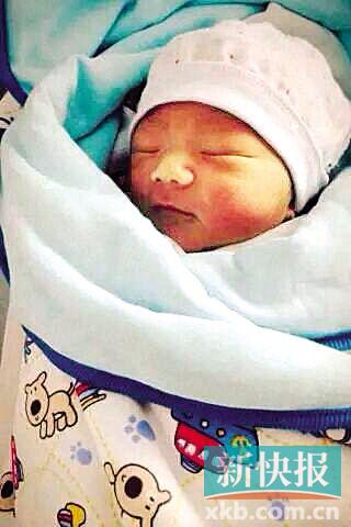 ����������Ϊ��С���塱���Ѵߺ���ץ���ٶȣ�ͼ��