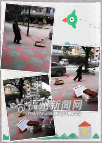 网友拍摄 网友拍摄