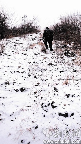 行走在巡山路上 行走在巡山路上