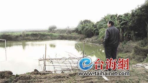 这就是两个少女自杀的池塘 这就是两个少女自杀的池塘
