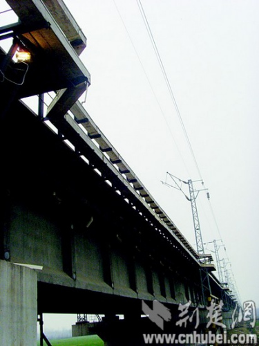 南湾特大桥完好如初 南湾特大桥完好如初
