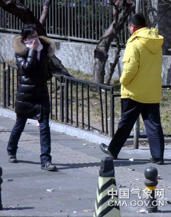 23日,北京刮起大风,大风吹得树枝乱晃,阵风达八级左右,有的地方,自行车被风吹倒,市民出行不得不捂上口鼻。北京市气象台23日11时发布大风蓝色预警信号:受较强冷空气影响中午到前半夜,北京市有五六级偏北风阵风可达八级左右。(摄影:孙楠) 23日,北京刮起大风,大风吹得树枝乱晃,阵风达八级左右,有的地方,自行车被风吹倒,市民出行不得不捂上口鼻。北京市气象台23日11时发布大风蓝色预警信号:受较强冷空气影响中午到前半夜,北京市有五六级偏北风阵风可达八级左右。(摄影:孙楠)