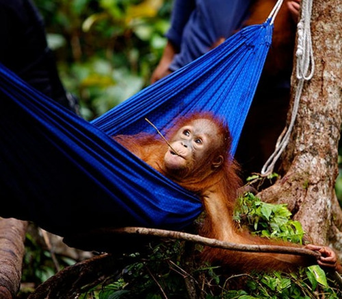 С����˯�ڵ�����¶�����������ա�