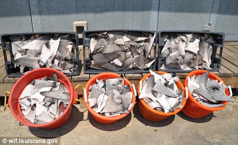 �������������ӷǷ���ȡ2073Ƭ��ᡣ