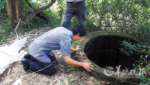 С��ĸ��׿޵��ڿݾ���