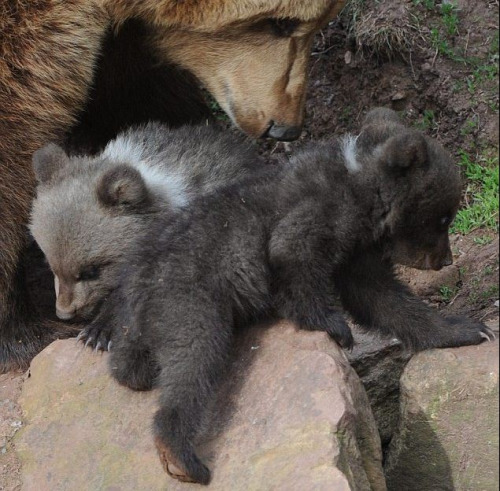 ĸ�װ���ʱ�̶����Լ��ĺ���