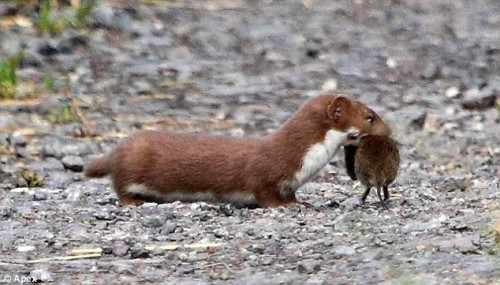 �����ǽ�����ҧס��ֻ����