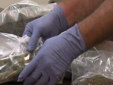 警方在梅斯家中查获大麻 警方在梅斯家中查获大麻