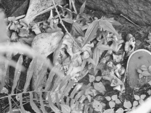 ��������ĵ��Ķ���׹ǡ�