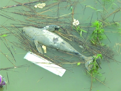 ���Ѿ�������С���ࡣ��ʤ��