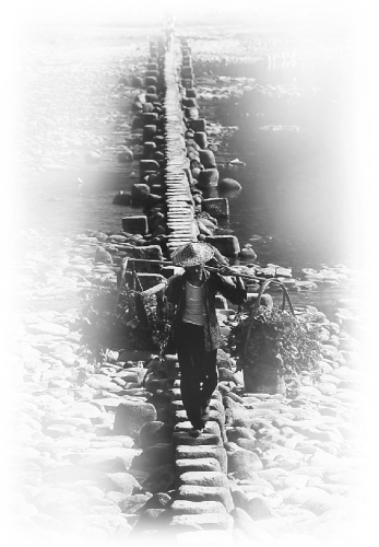 �G�� ������ ��