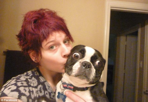 宠物犬与主人在一起。 宠物犬与主人在一起。