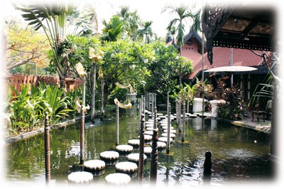 �ݻ��������վƵ�