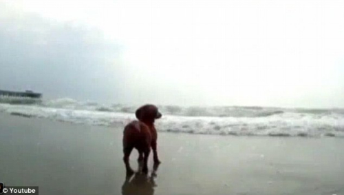 ����Ȯ���Ŵ󺣣��þò�Ը��ȥ��