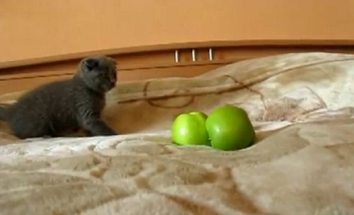 Сè����������ˮ����ˣ