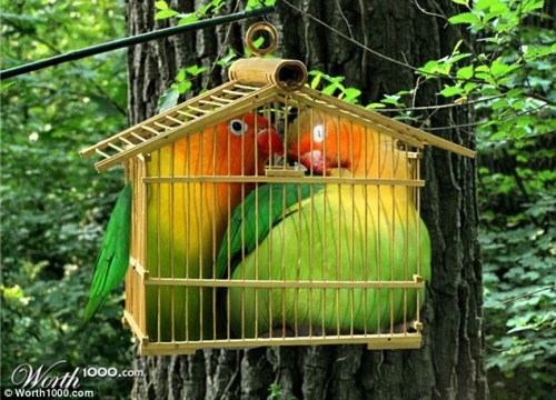 ���ֵĶ�����Ҫ���󡰷��ӡ���