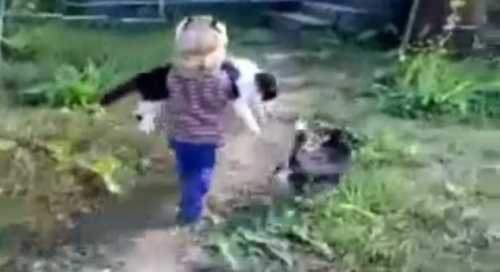 小女孩抱着小猫晃晃悠悠地离开 小女孩抱着小猫晃晃悠悠地离开