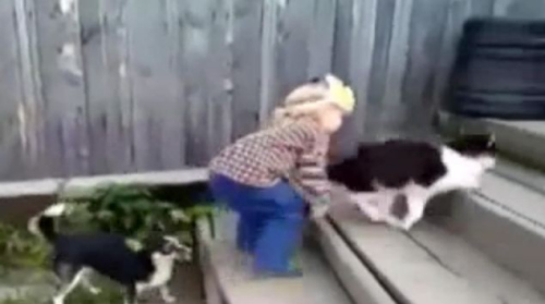 СŮ����è����̨����