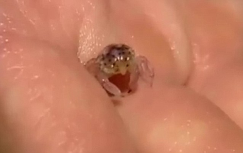 ר�ҳ��������Ǵ����׳�ʱ�ڵġ�7-11���з