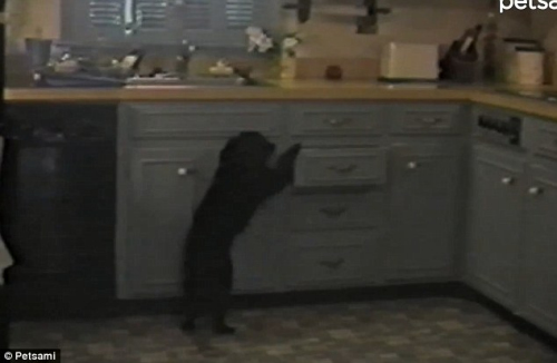 С���򿪳���