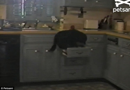 С��������������