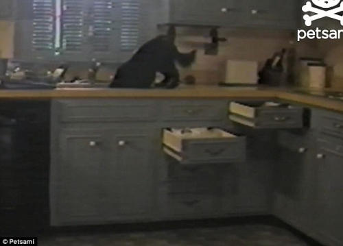 �����ġ�һ��֮��������̨�棬С����ͷ���ˮ��