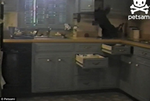 Ҳ������Ϊ�뵽�Լ������˵ĺá��ֵܡ������Է�����͵͵��ʳ�Ե��뷨