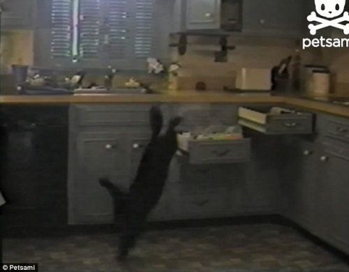 С��ԭ·���������˳���̨��