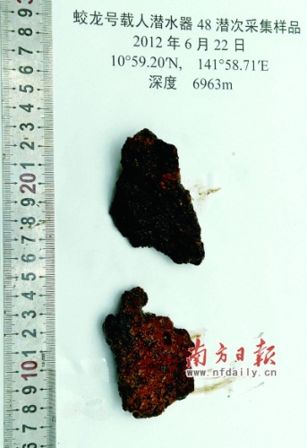 “蛟龙”号在6963米深处采集的海底沉积物样本。新华社发 “蛟龙”号在6963米深处采集的海底沉积物样本。新华社发
