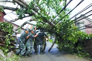 图为卫戍区官兵正在清理被龙卷风刮倒的大树。王桂建 摄 图为卫戍区官兵正在清理被龙卷风刮倒的大树。王桂建 摄