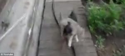 ������С���߼���·��ЪЪ�Ŵ���
